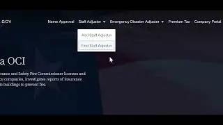 Adding Staff Adjuster   Individual