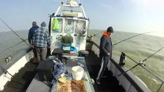 Uptiding for skate on Skerry Belle