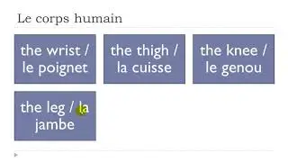 LEARN FRENCH IN 5 DAYS # DAY 2
