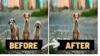 How to remove objects from the image easily using Photoshop