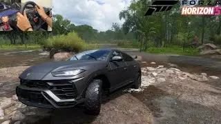 Lamborghini Urus offroad - Forza Horizon 5 | g29 gameplay