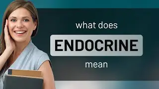 Endocrine &bull; what is ENDOCRINE meaning