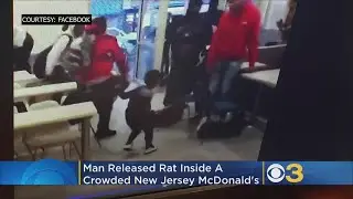 Man Releases Large Rat Inside Crowded New Jersey McDonald's