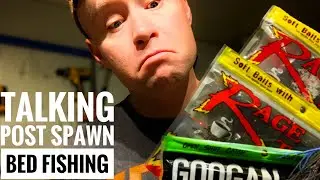 Best baits to fish bass beds to ensure you get the most bites