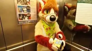 Eurofurence 22 - Furries vs. The Cube - Misc. Scenes