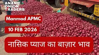 Nashik Onion Market Today 🔴 | Red Onion Price Today | APMC Bhav 10 February 2026