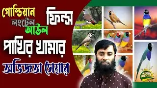 ফিঞ্চ পাখি পালন করে লাখপতি সফল উদ্দোক্তা আবু তাহের বাবু
