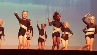 Eindpresentatie Lucia Marthas 2019