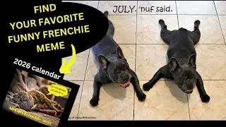 The Best French Bulldog Calendar for 2026 Funny Frenchie Calendar 2026, Funny Dog Calendar 2026