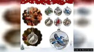Birds Crystal Glass Ornament Clear Plastic Bird Christmas Ball Ornament Xmas Tree Memorial Gifts For