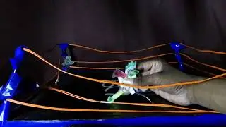 Punch Hero Saturday Night's Boxing Event Jojo vs P-Joker Undisputed Punch Hero Championship