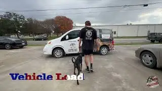 Sady's Amazing Transformation | 15 Day Board & Train | Doberman Pinscher | #dobermantraining #nbtx