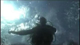 National Geographic Channel - Replace. Live curious.