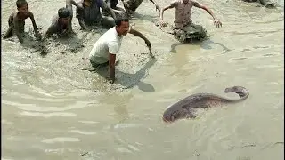 Unbelievable Hand Fishing By Village Children's | Hand Fishing | Best Fishing Video | Hand Fishing