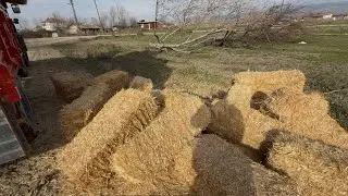İSTİF UÇTU // KAPIYA BALYA ÇEKİYORUZ //SON DURUMLAR