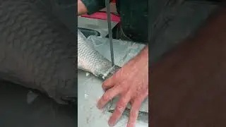 Big rohu fish cutting skills 🐠#shorts ##entertainment #cuttingskills #satisfying #fish