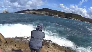 Sargos en Galicia con bola, en buena compañía🎣🐟