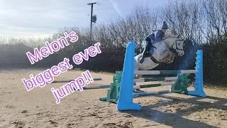 Melon's biggest jump yet! #equestrianjourney #pony #horse #bigjump