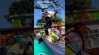 Bam Margera Mini Ramp Action!! #skateboarding