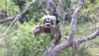 2017 Browning Spec Ops Extreme Trail Camera Field Review + Video Clips added at end