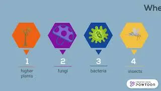 Laccase & Plastic Degradation