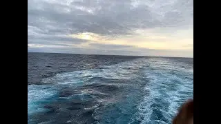 Ruby Princess swaying in storms Feb 2020 Swimming pools with waves cold strong winds rock ship