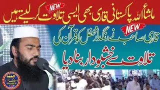 Tilawat e Quran | Qari Noman Jafar International Award winner | Alhamd Islamic Studio