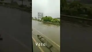 heavy rain in vasai #rain #vasai #heavyrain #evershine #water #savwater #lovefile #loveyourself