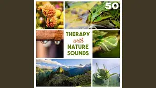 Chakra Balancing & Yin Yoga Music