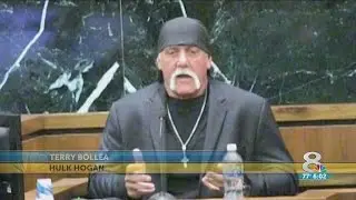 Hulk Hogan takes stand in his lawsuit against Gawker