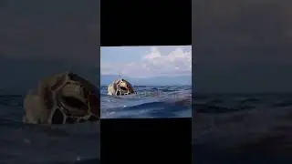 Turtle ascends to the surface to breathe and submerge again underwater#shorts#new