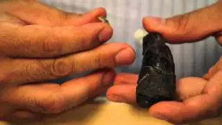 How do paleontologists identify dinosaur teeth?