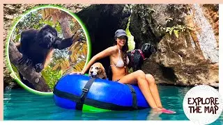 Piscinas naturales y monos en Poza Los Coyotes Costa Rica!