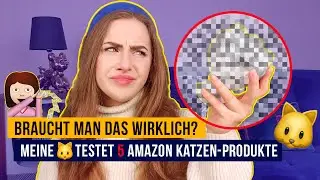 Meine Katze testet 5 Amazon Katzenprodukte / Brauchen Katzen das wirklich? / Amely Rose & Catwalk
