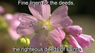 Fine Linen by Carolyn Hyde (with lyrics)