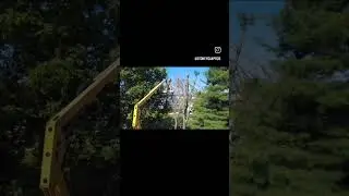 #outdoorwork #tree #removal #backyard #summergoals #renovation #homeimprovement #drone #realestate