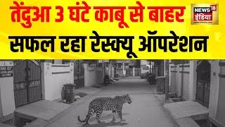 Jaipur Civil Lines में Leopard Panic! 3 घंटे तक दहशत, Forest Dept का High-Risk Rescue
