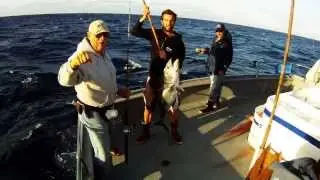 TORRES CHARTER 2013 - MICHAEL H.  BLUEFIN SEQUENCE