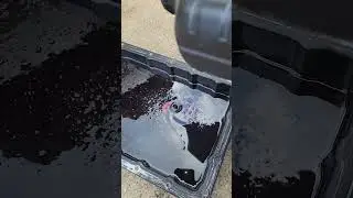 Lexus SC 430 transmission fluid/filter change.5speed