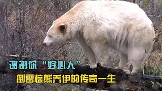 謝謝你「好心人」，倒黴棕熊喬伊的傳奇一生