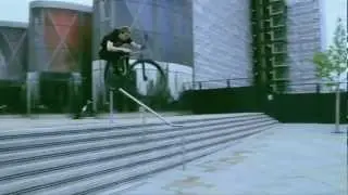 Ninja Cats Summer (Fixed Freestyle)