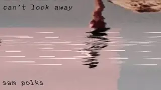 Sam Polks - Can&rsquo;t Look Away (OFFICIAL VISUALIZER)