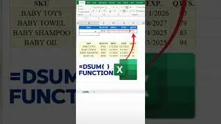 Filter Data based on Multiple Conditions | Excel DSUM Function.