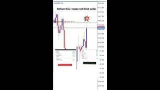 Update price gold Sell limit order| Big player order| miss shadow entry