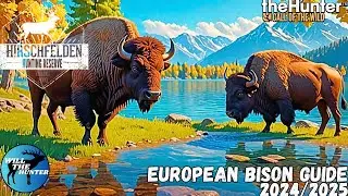 Hirschfelden European Bison Guide | TheHunter Call Of The Wild 24/25