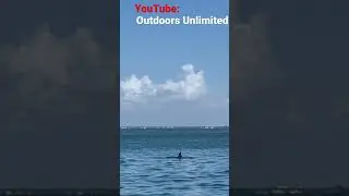 Reeling In the Best Vacation: Miami Fishing Trip!