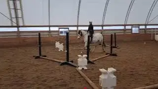 Avrie Pomoransky - SB Equitation Open Equitation  W/T over poles
