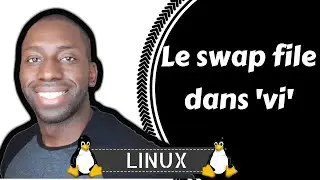 Linux - Le SWAP file dans 'vi'
