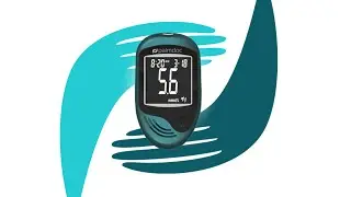 Palmdoc Demonstration