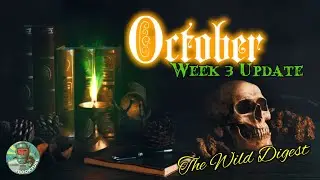 October Week 3 Wrap Up 📚🍂🎃